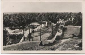 LAGHOUAT VILLAGE CHTETT.. CARTE PHOTO