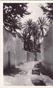 Laghouat - Une Rue de la Grande Séguia   Achat Immédiat