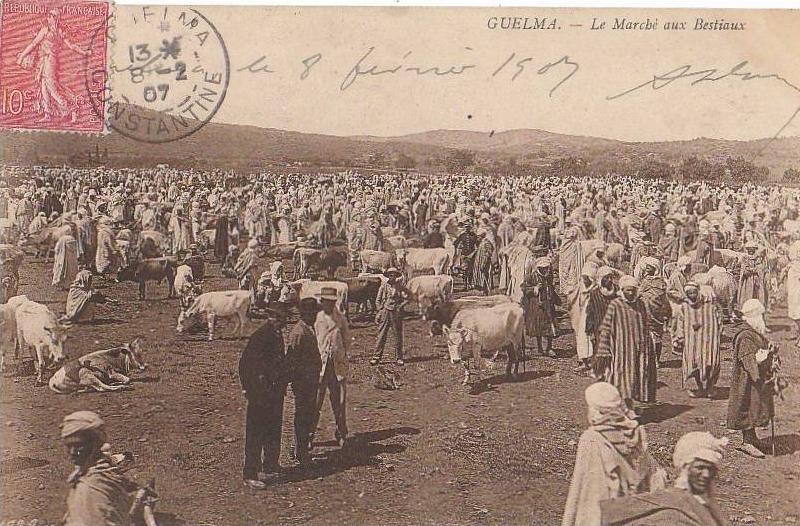 CPA ALGERIE CONSTANTINOIS GUELMA La Marché aux Bestiaux Animation 1907