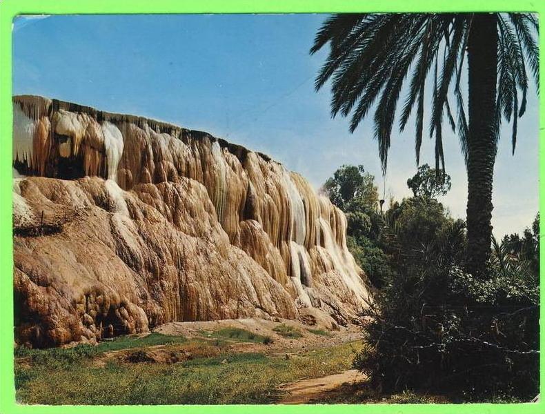 GUELMA, ALGÉRIE -  HAMMAM MESKHOUTEN - CIRCULÉE EN 1978 - ÉDIT. SNED -