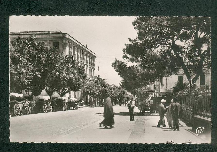 CPSM - Algérie - Guelma - Avenue  Sadi Carnot ( animée CAP 1507 format CPA)