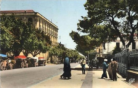 GUELMA - L'avenue Sadi Carnot