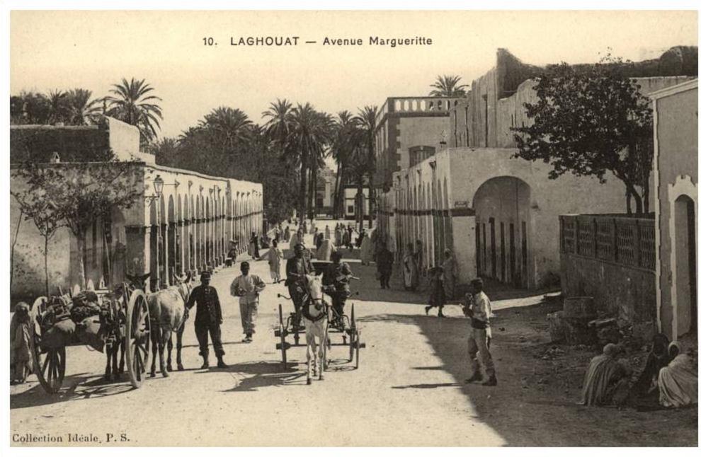 LAGHOUAT  avenue Marguerite
