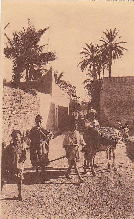 LAGHOUAT / UNE RUE DANS LE QUARTIER ARABE