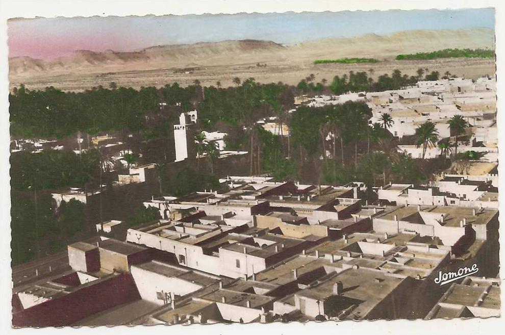 ALGERIE-LAGHOUAT-vue générale cpsm