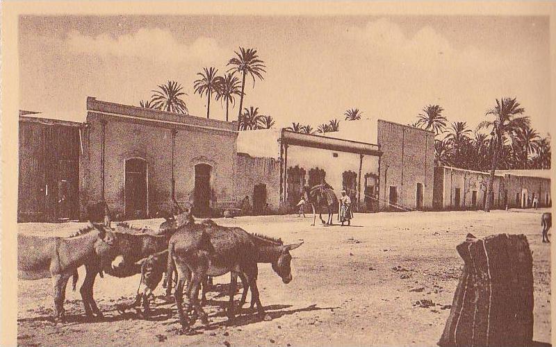 LAGHOUAT / LA PLACE DU MARCHE AUX BESTIAUX