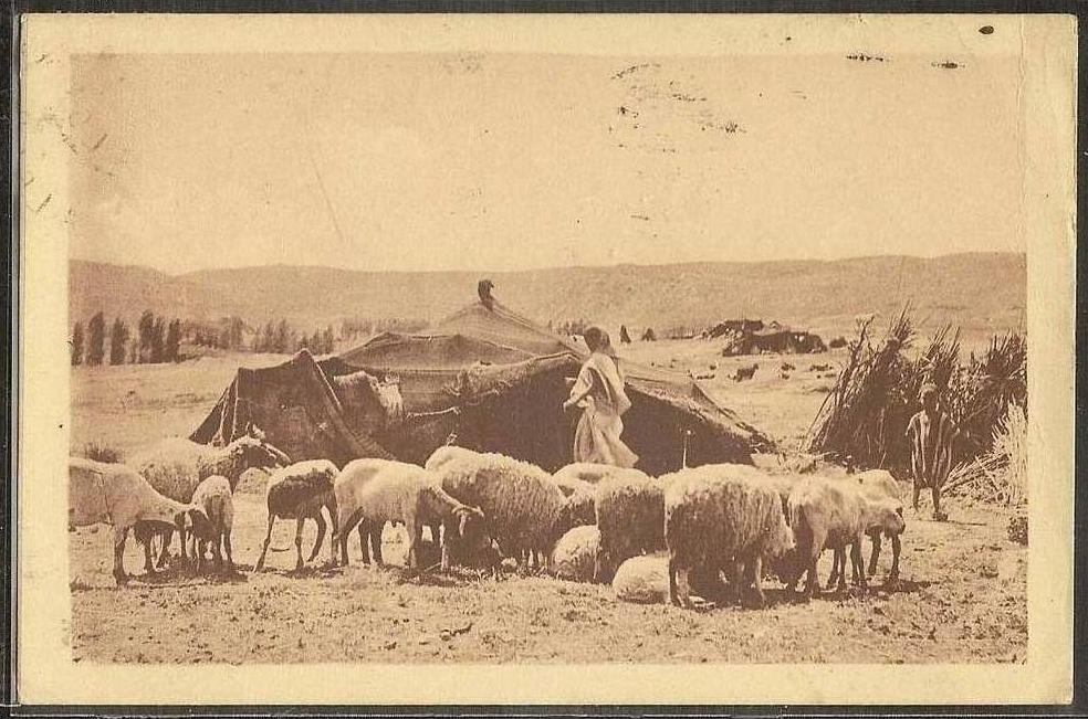 - CPA ALGERIE - Laghouat, campement de Nomades