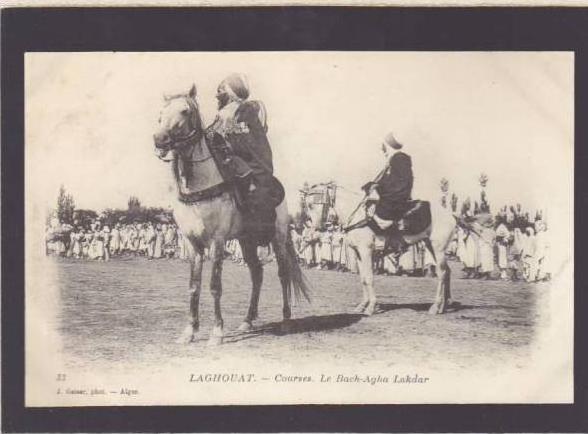 Laghouat - les courses de chevaux - le Bach-Agha Lakdar - 33 geiser