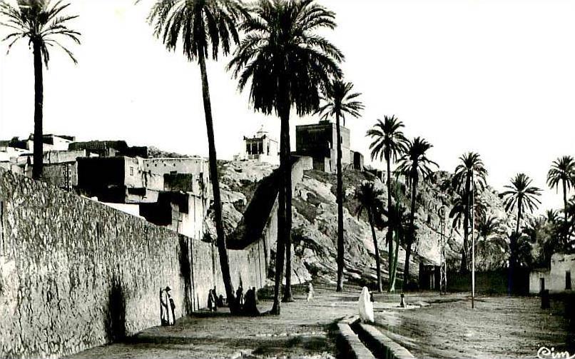 Carte photo- ALGERIE- LAGHOUAT    X329