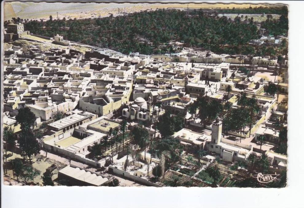 Laghouat oasis vue générale