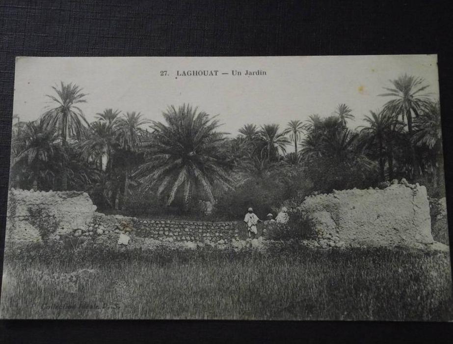 LAGHOUAT (Algérie) - Un Jardin - animée - non voyagée