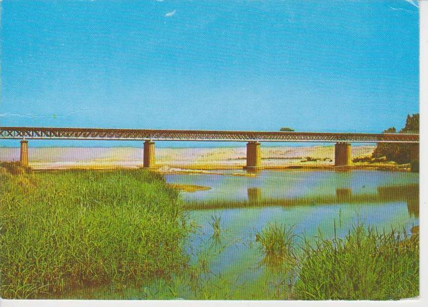 (ALG7) LAGHOUAT. OUED M'ZI