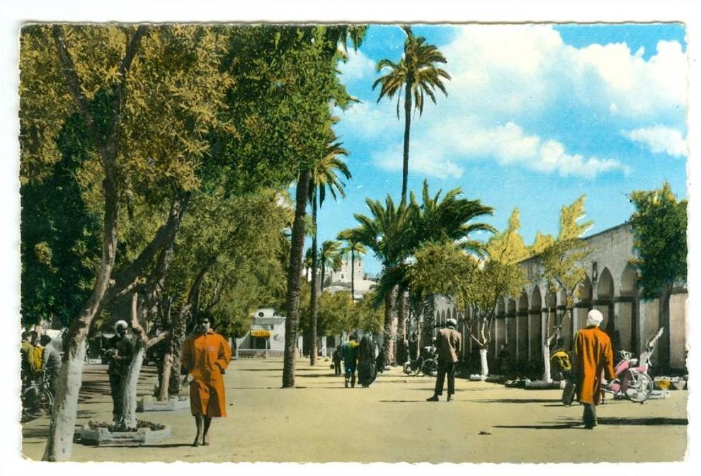 LAGHOUAT - Place des Oliviers