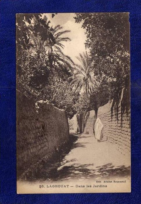 ALGERIE / ALGERIEN    Laghouat   Dans les Jardins