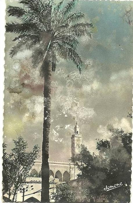 SCENES ET TYPES LAGHOUAT PORTE DU SUD