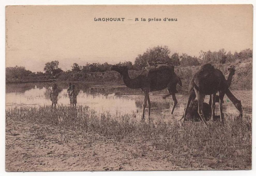- ALGERIE. - LAGHOUAT - A la prise d'eau - scan verso -