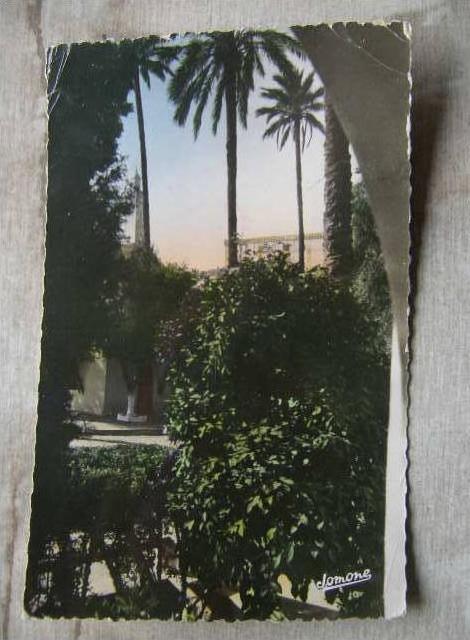 Algerie - LAGHOUAT   Jardins de la Commune Mixte  Cliche du General de l'Algerie     D93540