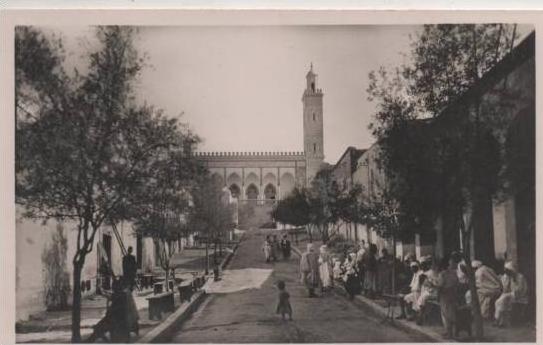 2 LAGHOUAT LA MOSQUEE