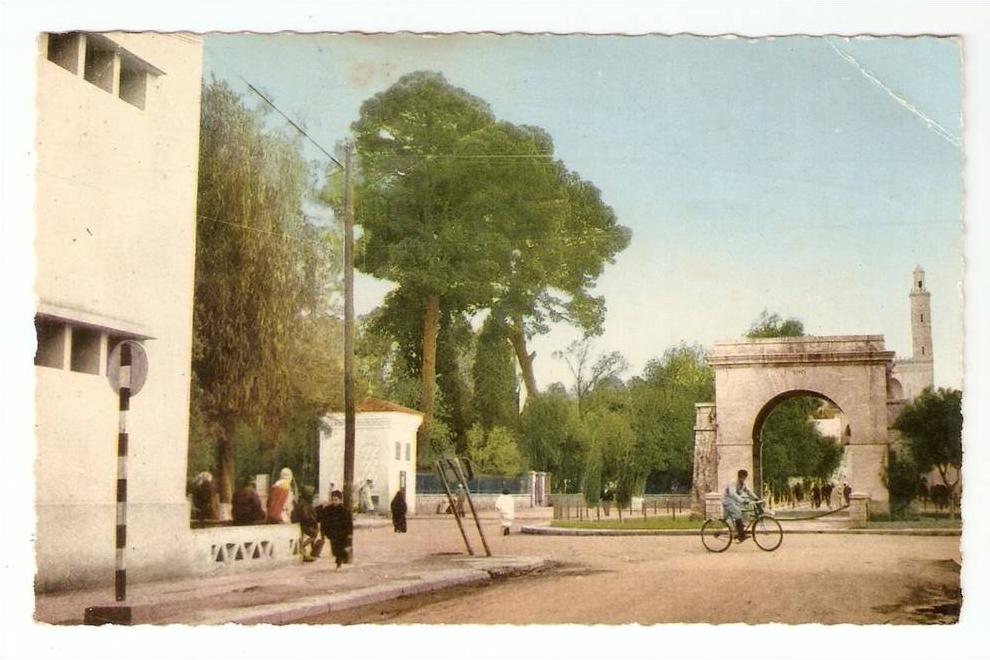 CSM  Algérie  Laghouat  Place d'Ager  animation