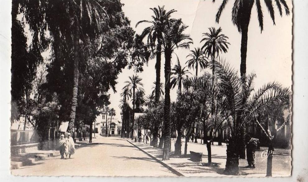 BR46886 Laghouat Rue de Sonis     2 scans