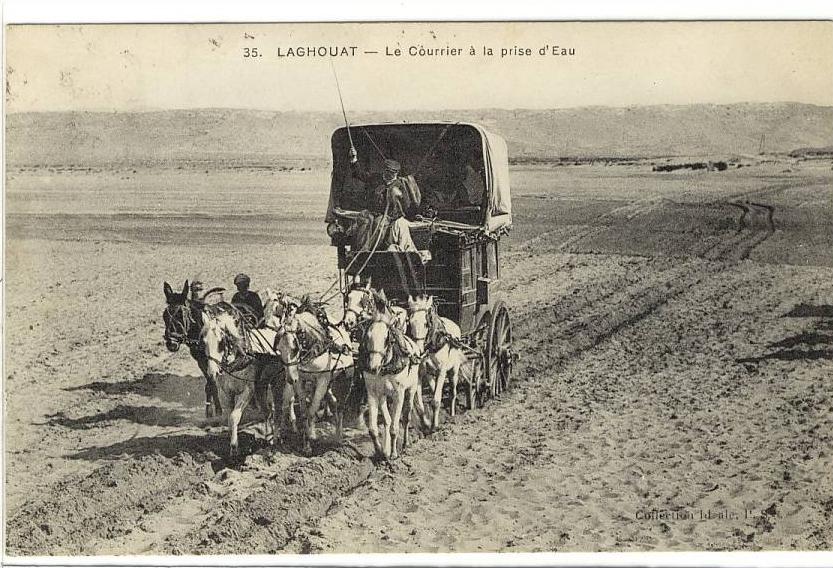 Carte Postale Ancienne Algérie - Laghouat. Le Courrier à la prise d'eau - Attelage, diligence, Postes