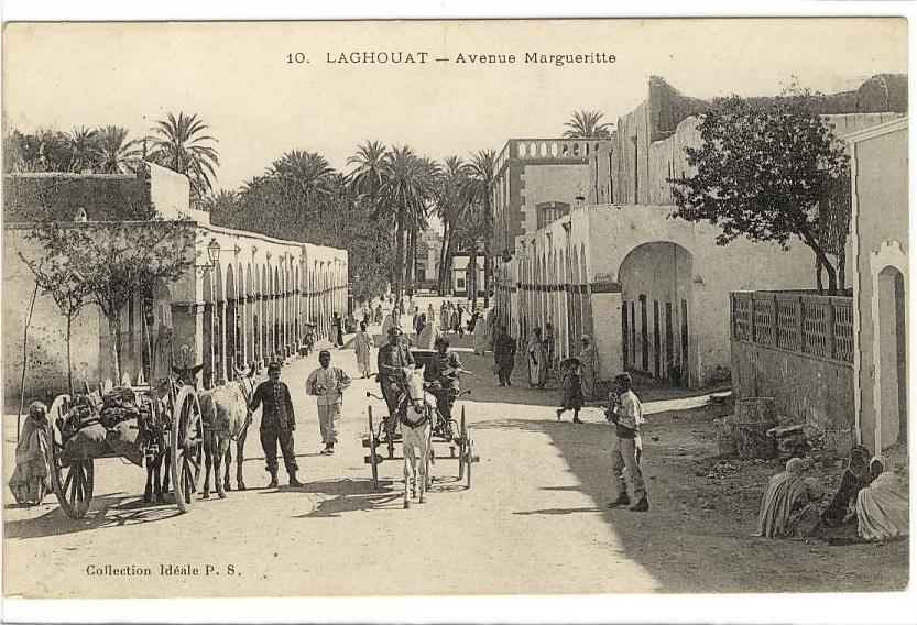 Carte Postale Ancienne Algérie - Laghouat. Avenue Marguerite