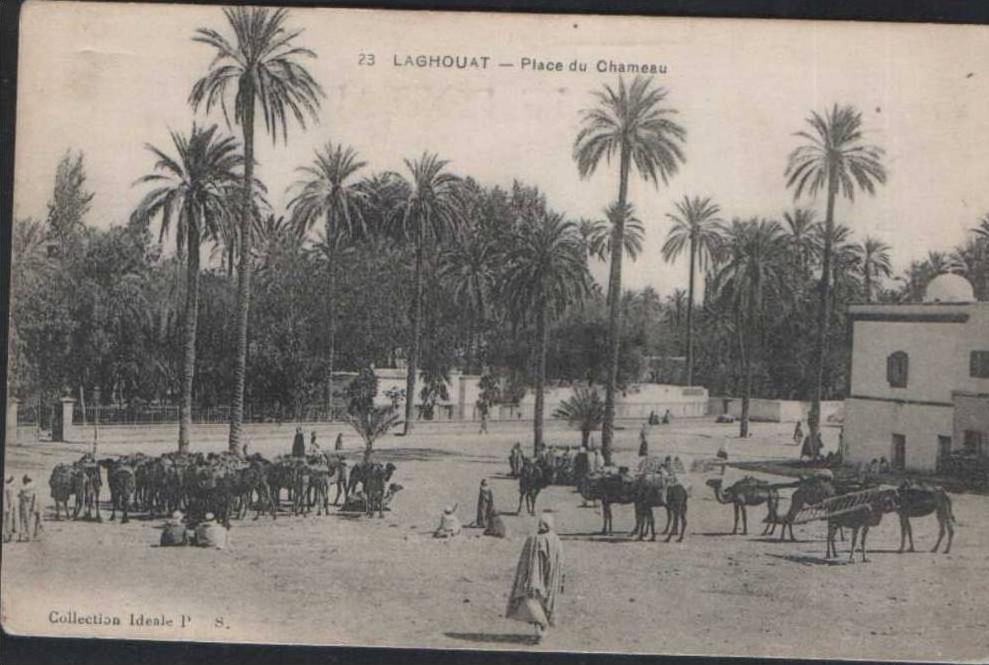 CPA Algérie 23 Laghouat - Place du chameau ,animée écrite NORD AFRIQUE ALGERIA