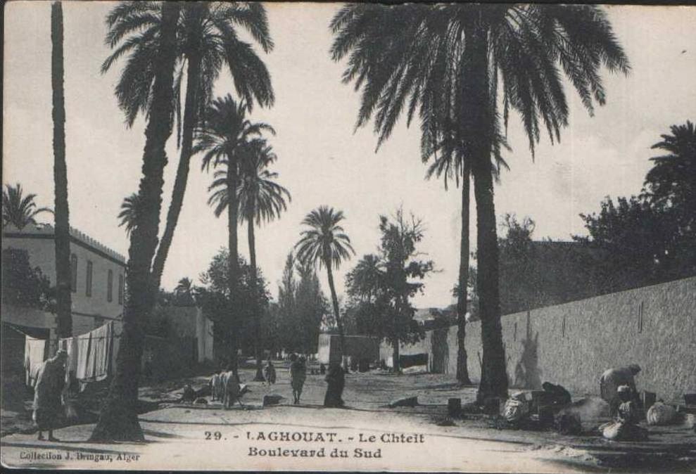 RLIST CPA Algérie 29 Laghouat -LE CHTEIT BOULEVARD DU SUD NON J BRINGAU écrite NORD AFRIQUE ALGERIA