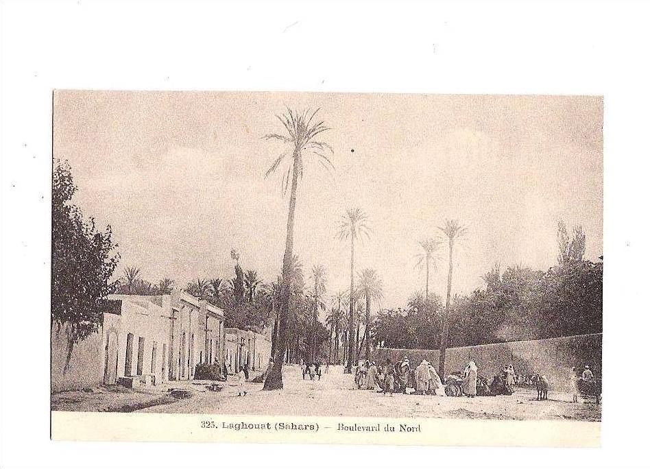 Laghouat (Sahara) - Boulevard du Nord.