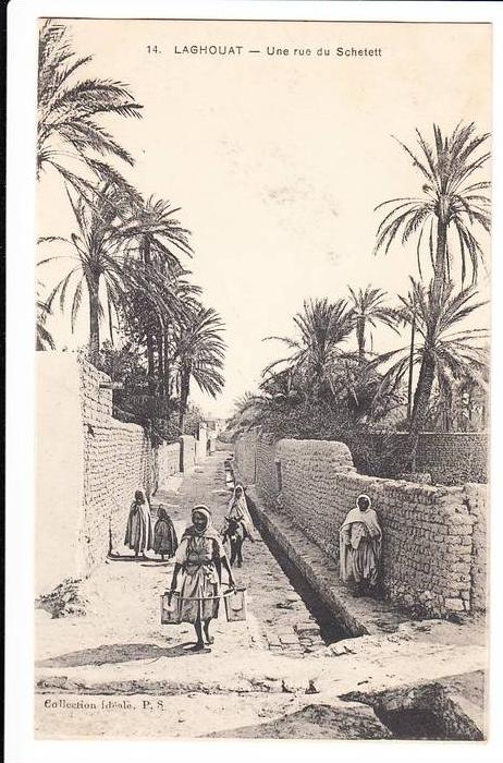 LAGHOUAT UNE RUE DU SCHETETT PORTEUR D EAU