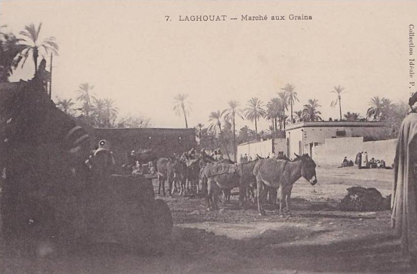 Laghouat.- (Algérie) Marché aux Grains - (belle animation - ânes - âne)