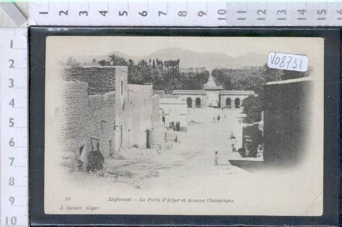 V08731 LAGHOUAT LA PORTE D'ALGER ET AVENUE CHASSAIGNE