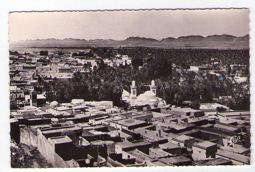 LAGHOUAT - Vue Centrale prise du Marabout Sidi Abdelkader.