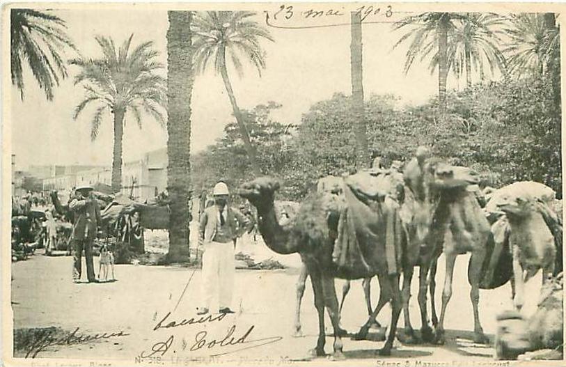 CPA       précurseur         Laghouat      place du marché       animée   envoyée en 1903           D-637