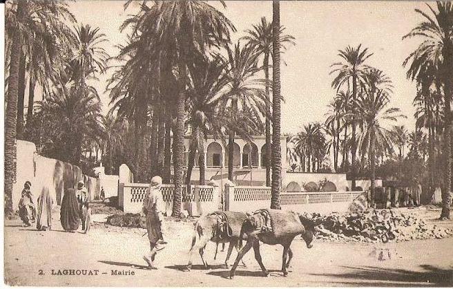 LAGHOUAT - Mairie (carte animée)