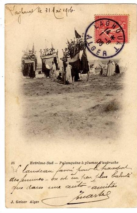 Algérie - Extrême-Sud - Palanquins à plumes d´autruche - 1906 -- Edit. J. Geiser, Alger