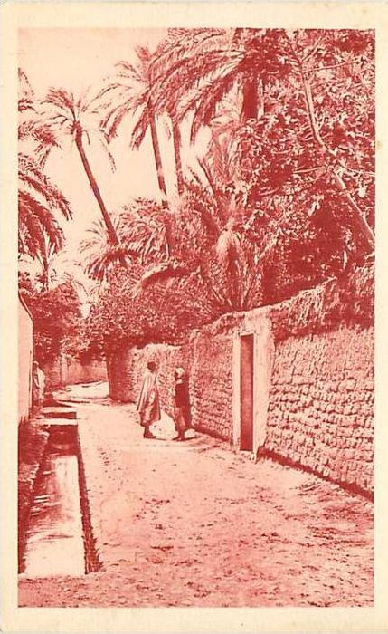 CPA            Laghouat    une rue           animée      D-422