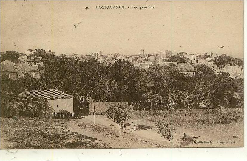 LAGHOUAT - Vue générale