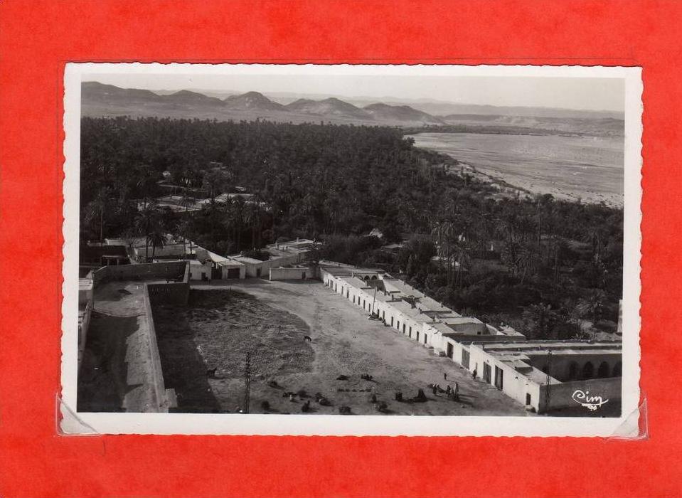 algérie laghouat  échappée sur l'oasis  edit  CIM ( non écrite )