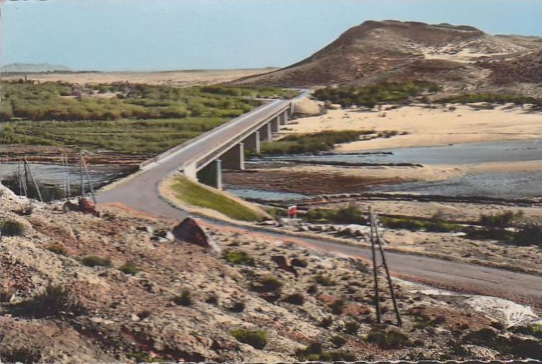 LAGHOUAT / LE PONT SUR L OUED M'ZI   /////   REF24644