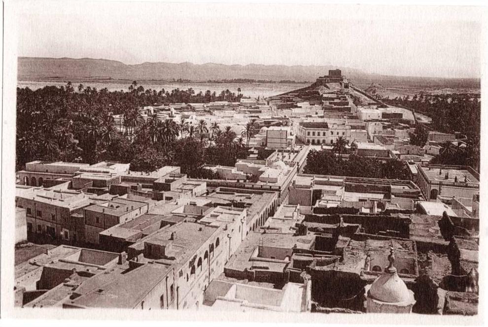 CPA DE LAGHOUAT  -  ALGERIE  -  VUE GENERALE PRISE DE LA MOSQUEE