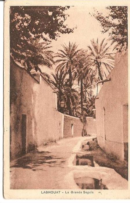 LAGHOUAT La Grande Seguia
