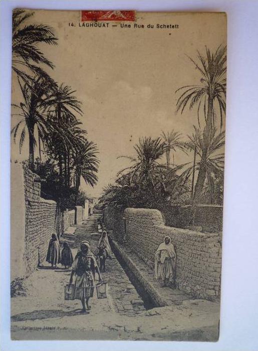 LAGHOUAT  (Algérie)    Une Rue du  Schetett