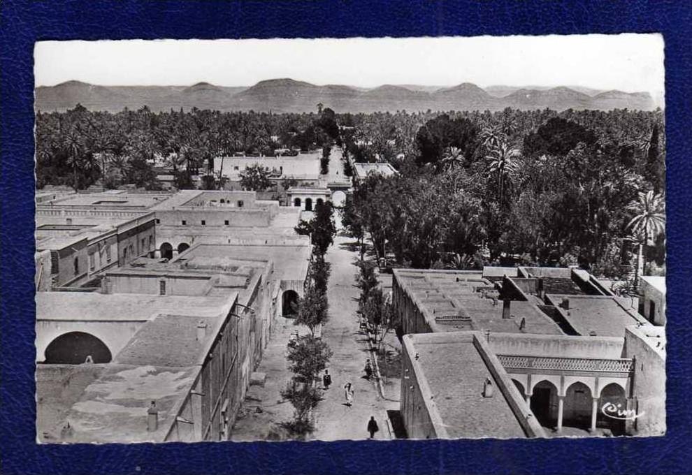 ALGERIE / ALGERIEN /   LAGHOUAT - Vue generale cote Avenue Cassaigne