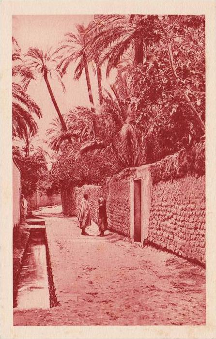 Algérie - Laghouat - Une rue - Editeur S.P.G.A