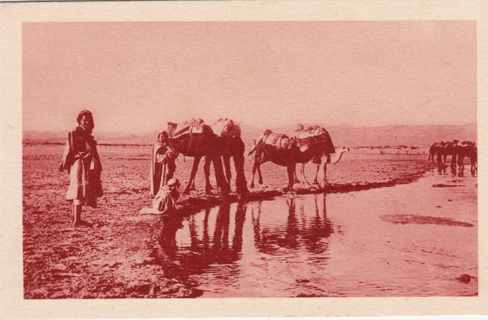 Algérie - Laghouat - L'Oued M'zi - Editeur S.P.G.A