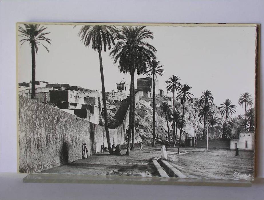 ALGERIE - LAGHOUAT - MARABOUT DE SIDI-ABDEL-KADER ET DAL'A