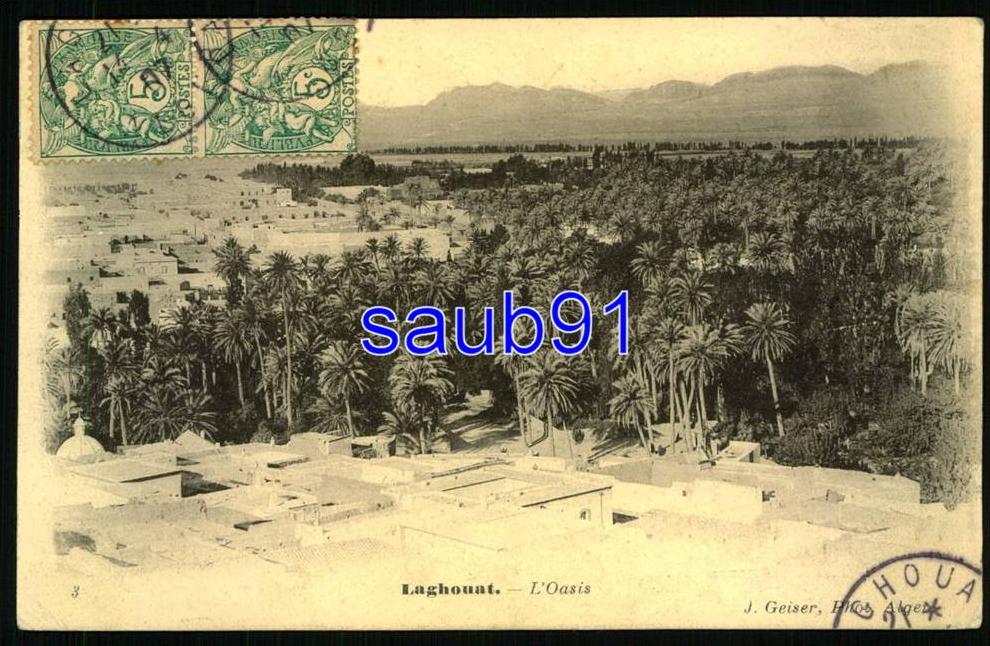 Laghouat -  L'Oasis   -  Réf  24163