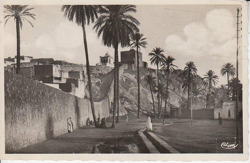 ALGERIE - cpsm LAGHOUAT - sud algérien - marabout de sidi abdel kader - attalah bouameur à laghouat - d17 883