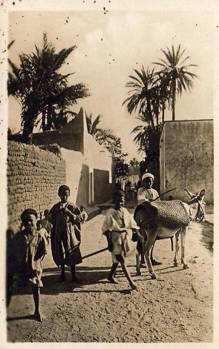 ALGERIE  LAGHOUAT  Environs de Laghouat  ..... ( Ref FA1095 )